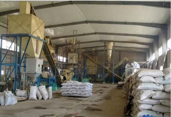 Factory Directly 500-800kg/H Complete Wood or Feed Pellet Mill for Production Line