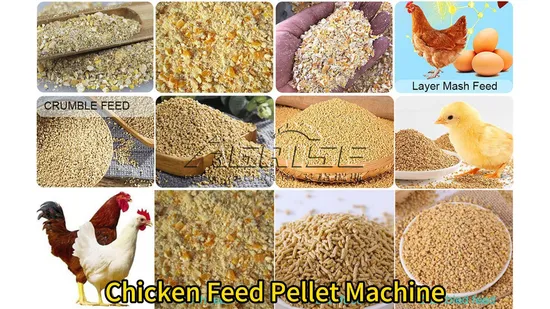 熱い販売、CE 承認動物飼料用鶏糞肥料ペレット機